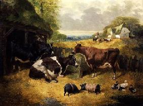 Farmyard Scene