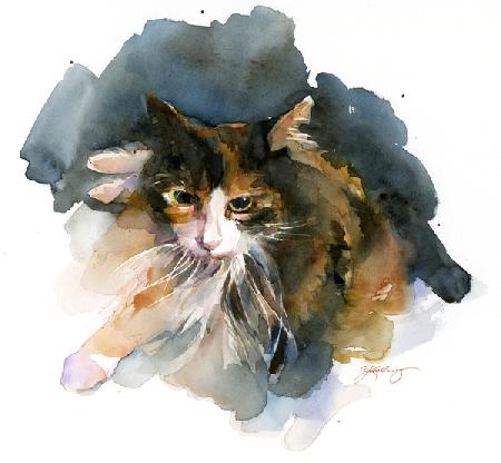 Calico Cat