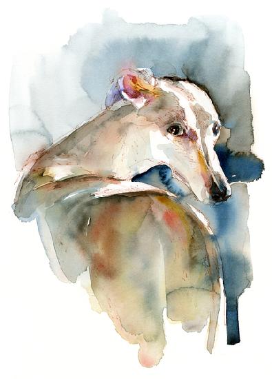 Greyhound Hope