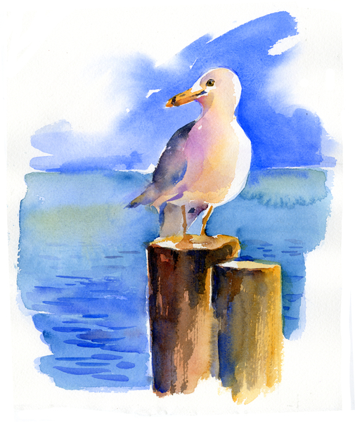 Seagull on dock de John Keeling