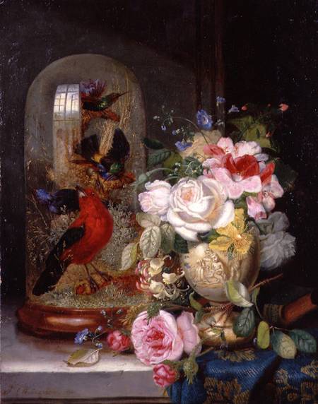 A Still Life with Roses in a Vase beside Exotic Birds in a Glass Case de John Wainwright