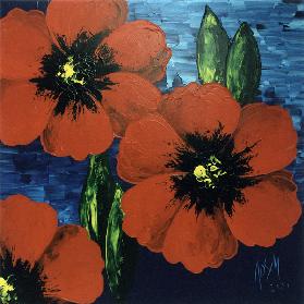 Red poppy l