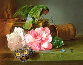 Still Life with Parrot