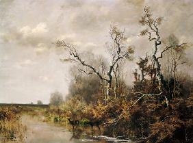 Bog landscape with two deer