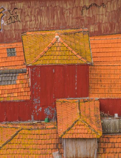 Rooftops of Porto