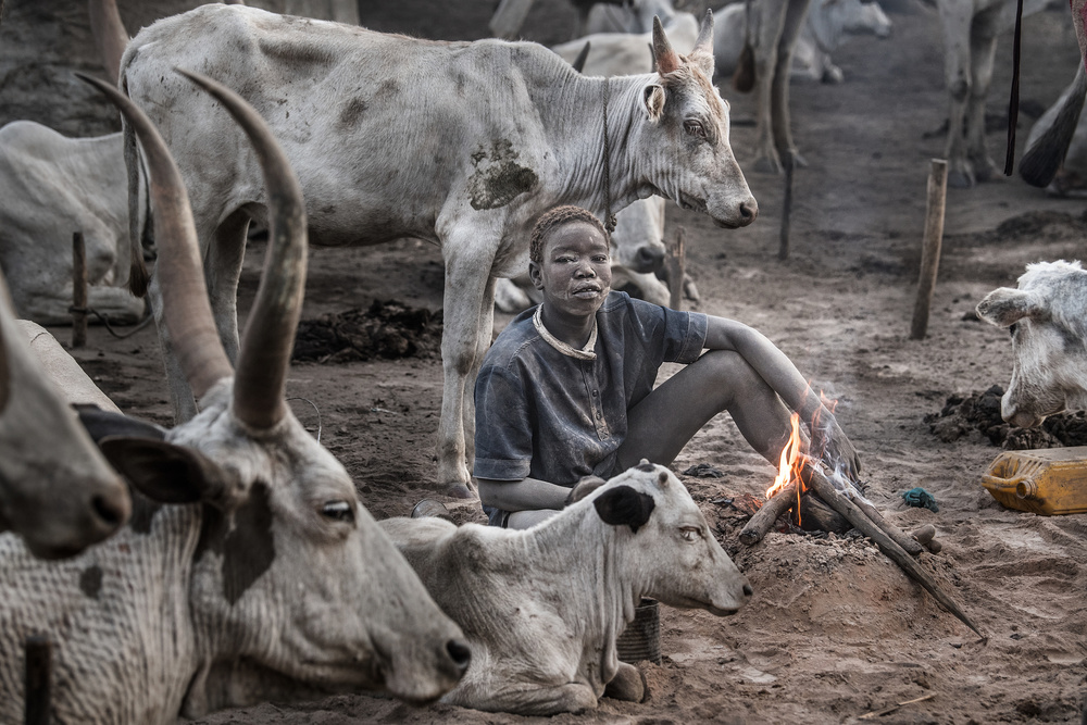 A scene of a Mundari cattle camp-II - South Sudan de Joxe Inazio Kuesta Garmendia