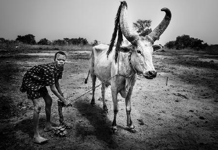 At a mundari cattle camp-I - South Sudan