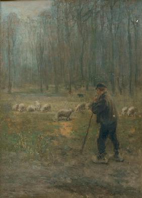 The Shepherd