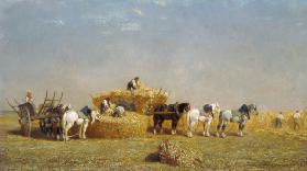 Haymaking