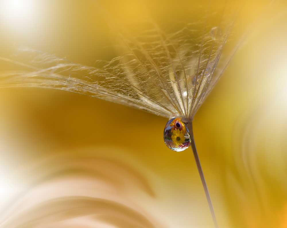 SunBeam...II de Juliana Nan