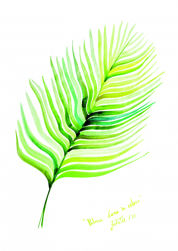 Palma doro in colour de Julija Belickienė
