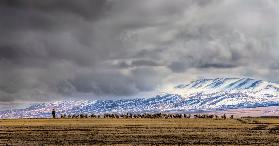 At the foot of the Tianshan Mountains