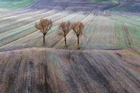 Winter in Tuscany