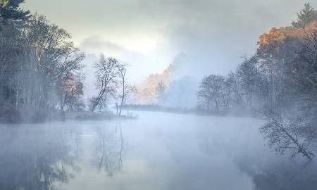 Misty morning