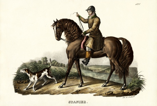 Spanish Hunter Horse de Karl Joseph Brodtmann