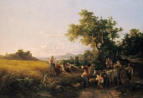 Italian landscape with ox cars during the grain ha