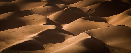 Lost in the golden dunes