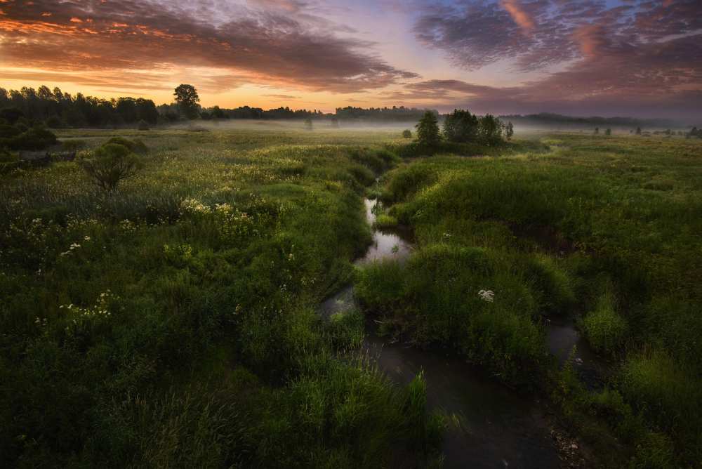 Morning on Kes'ma River de Kirill Volkov