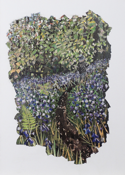 Bluebell Wood de Kirstie Adamson