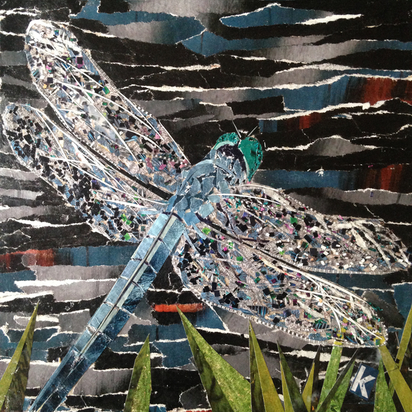 Dart - Emperor Dragonfly At Riverside de Kirstie Adamson