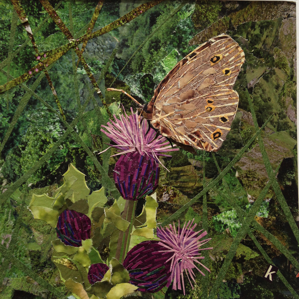 Flit - Satyr Butterfly On Thistle de Kirstie Adamson
