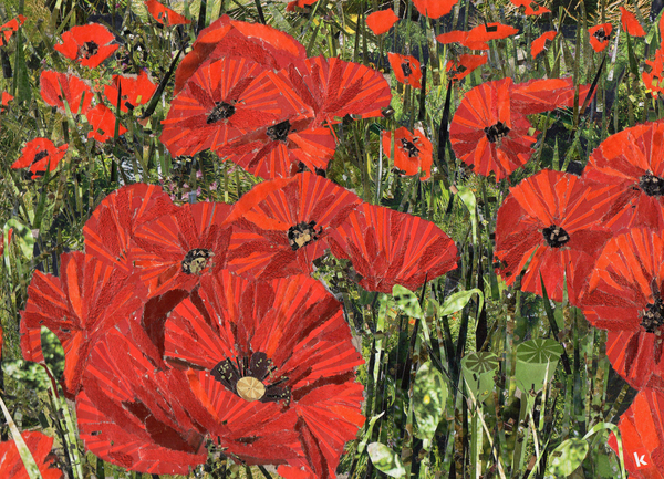 Poppy Field de Kirstie Adamson