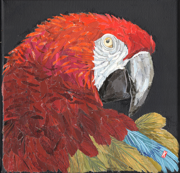 Red Macaw Parrot de Kirstie Adamson