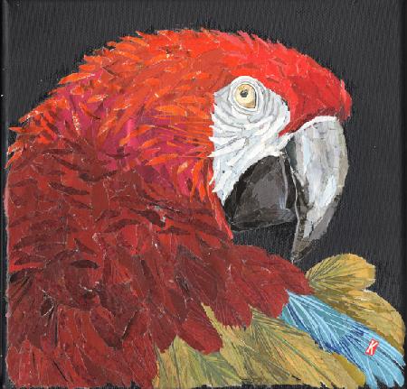 Red Macaw Parrot