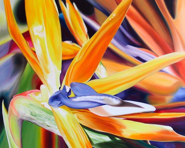 Birds of Paradise de James Knowles