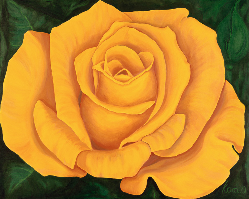 Yellow Rose Landora de Kora Olbrich