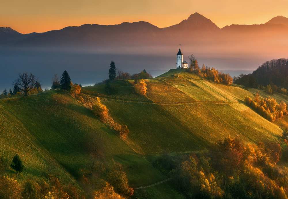 Autumn light... de Krzysztof Browko