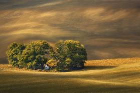 Moravian fields...