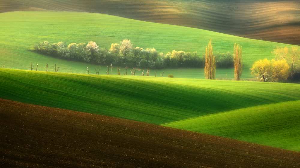 Sisters... de Krzysztof Browko