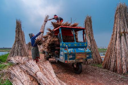 Jute mill workers