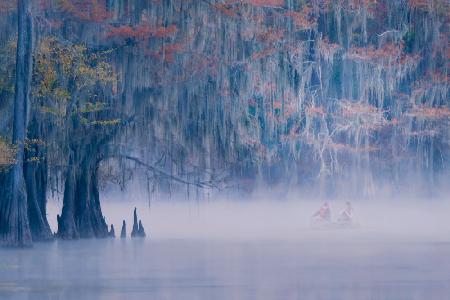 Autumn color in fog