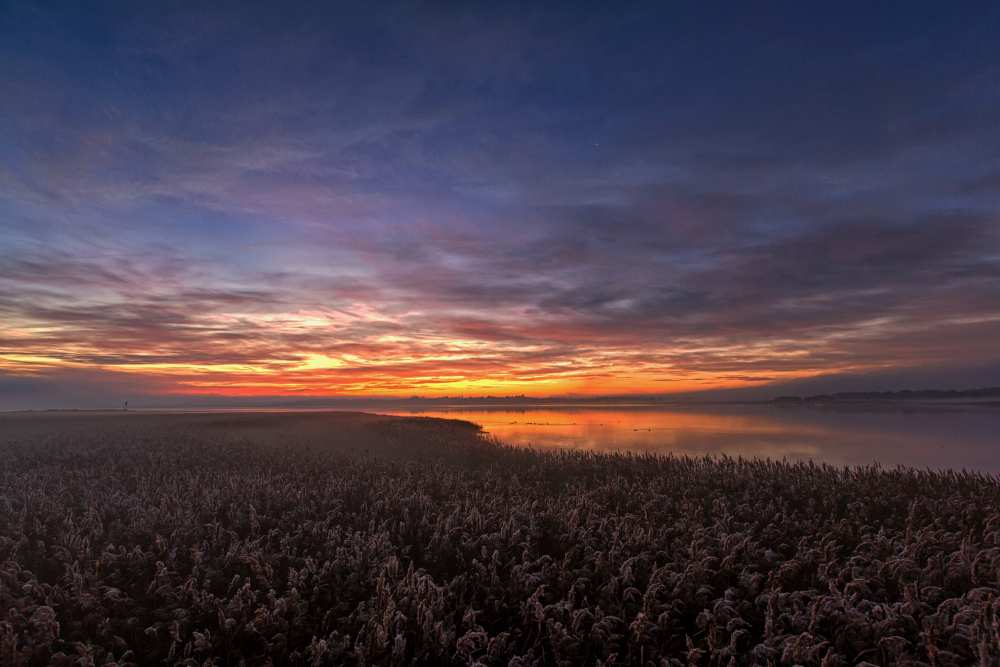 The morning silence. de Leif Løndal