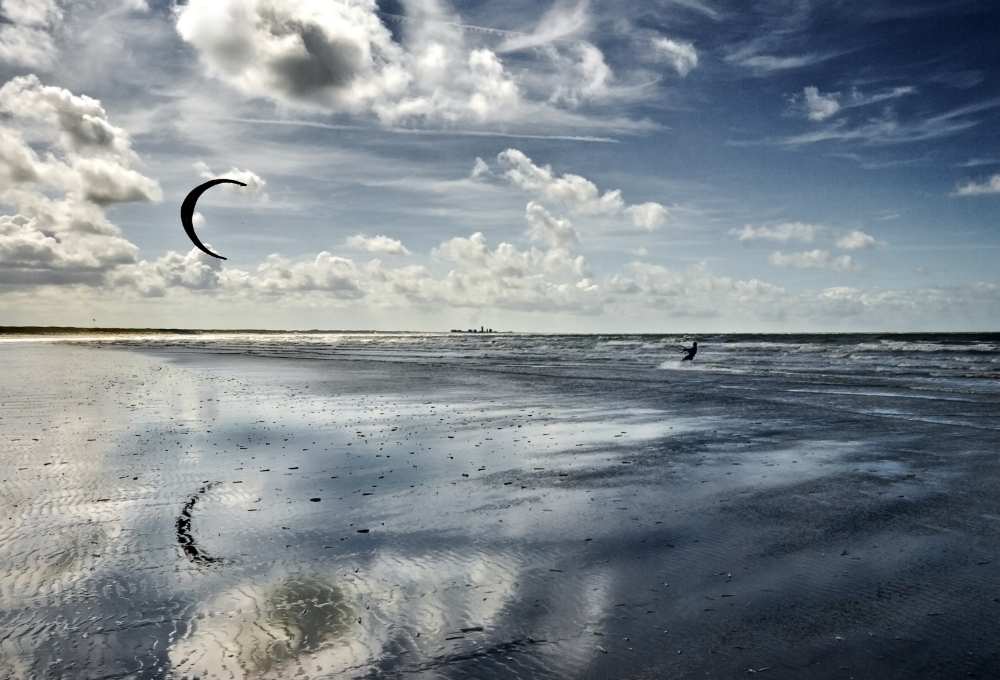 Blue Kiting de Leon