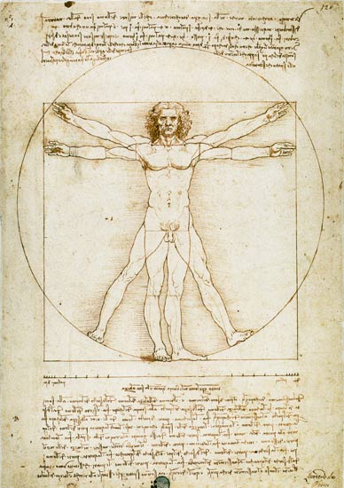 El hombre de Vitruvio (las proporciones humanas) de Leonardo da Vinci