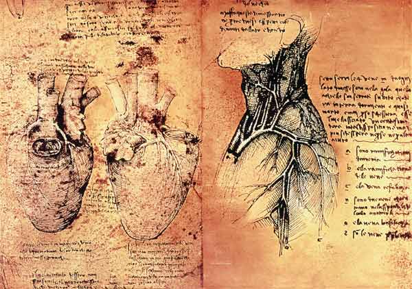 Anatomical drawing of hearts and blood v - Leonardo da Vinci en  reproducción impresa o copia al óleo sobre lienzo.