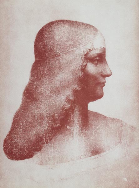 Head of a Woman in Profile de Leonardo da Vinci