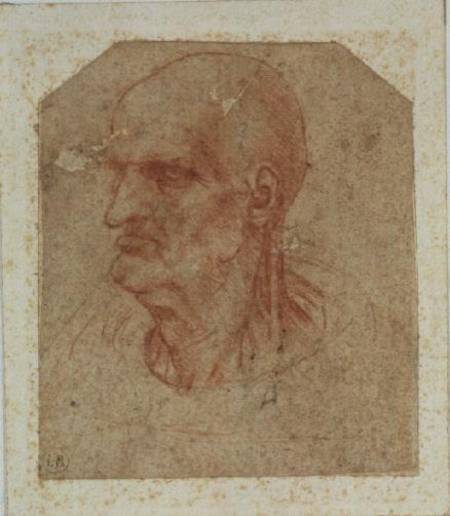 Head of a beardless old man, left profile de Leonardo da Vinci