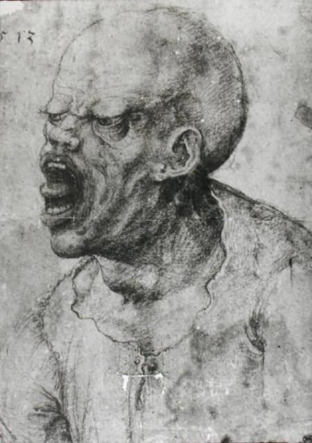Portrait of a Man Shouting de Leonardo da Vinci