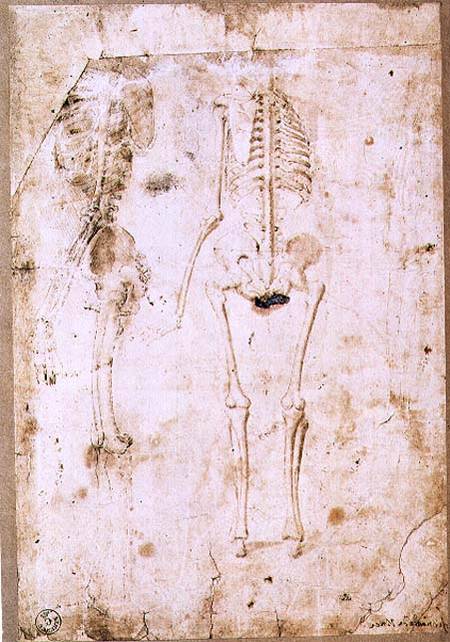 Two studies of a hanging skeleton (pen & ink with wash) de Leonardo da Vinci