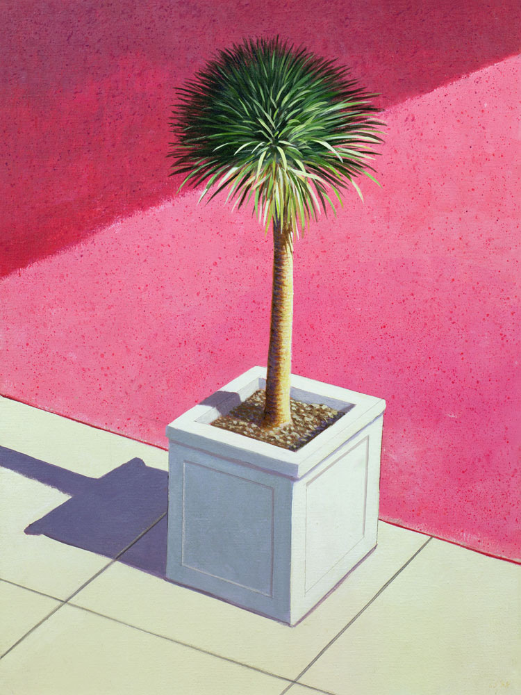 Small palm, 1995 (acrylic on canvas)  de Lincoln  Seligman