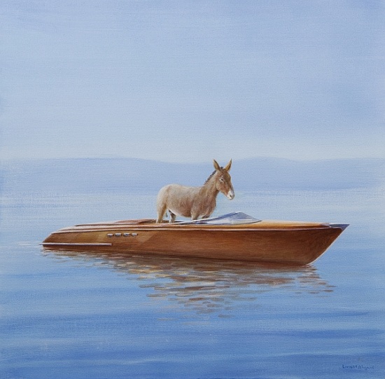 Donkey in a Riva de Lincoln  Seligman