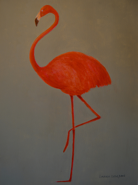 Flamingo de Lincoln  Seligman