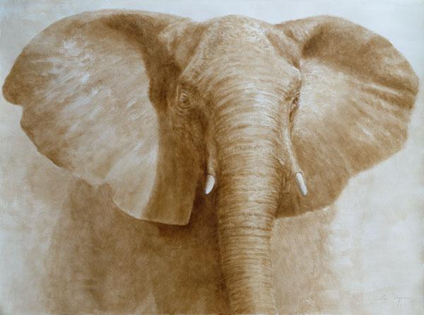 Elephant, 2004 (acrylic on paper) 