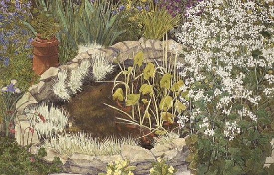 Fishpond and flowering Honesty de Linda  Benton