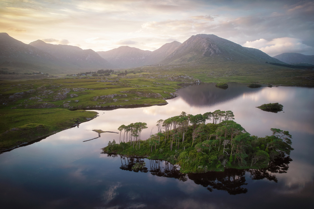 Pines refuge de Lionel Fellay