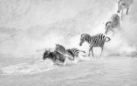 Crossing the river